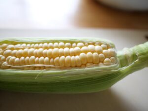 とうもろこしご飯　とうもろこしの準備　作り方　土鍋　レシピ