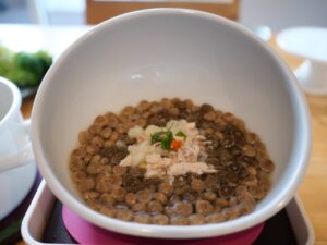 昆布と椎茸のお出汁　作り方　犬　ご飯　昆布水