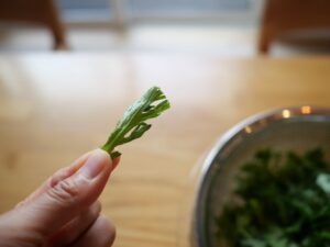 簡単レシピ　春菊と紅まどんなの簡単おしゃれサラダ　春菊　カット