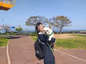 淡路島旅行　犬とお出かけ　淡路サービスエリア　犬と観覧車