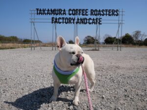 淡路島旅行　犬とお出かけTAKAMURA COFFEE ROASTERS FACTORY AND CAFE