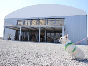 淡路島旅行　犬とお出かけTAKAMURA COFFEE ROASTERS FACTORY　外観