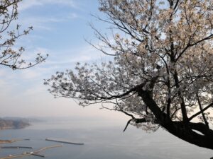 淡路島旅行　犬とお出かけ　洲本城跡　景色