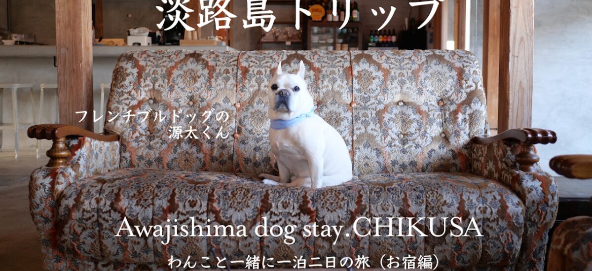 淡路島トリップ　わんことゆっくりおでかけ Awajishima dog stay.CHIKUSA　古民家 一棟貸し別荘　犬と泊まれる