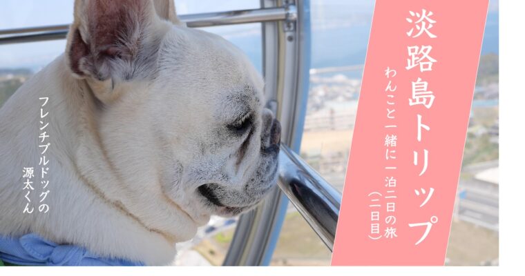 【淡路島トリップ】わんことゆっくりおでかけ ドッグフレンドリーな淡路島へ一泊二日の旅③ 洲本城跡で朝散歩 /  陽・燦燦（はる・さんさん）でブランチ/ 犬と一緒に観覧車