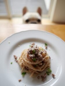 犬用　手作りごはん　パスタ　ひき肉　チーズ　盛り付け