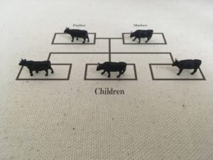 family tree 家系図　　家族関係図　姑　問題解決