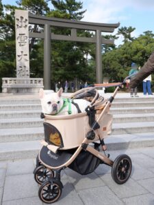 出雲大社　犬　参拝　わんことおでかけ　犬と旅行　二の鳥居　勢溜の大鳥居