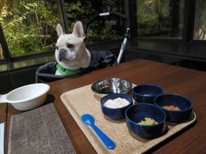 狗賓大山　ホテル＆リゾート　犬とおでかけ　おすすめ宿　旅行　鳥取県　大山　レストラン　わんちゃんと一緒に食事