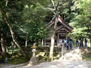 出雲大社　犬　参拝　わんことおでかけ　犬と旅行　境内の自然