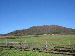 蒜山　蒜山ジャージーランド　犬とおでかけ　旅行　岡山県　牧場　絶景