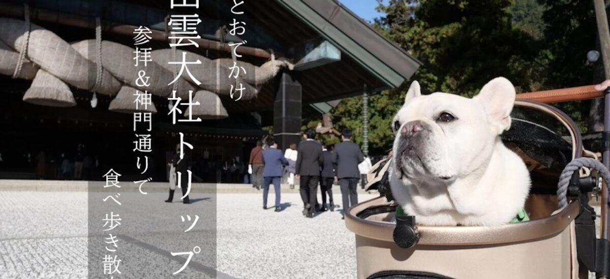 出雲大社　犬　参拝　わんことおでかけ　犬と旅行　神楽殿　大注連縄　フレンチブルドッグ