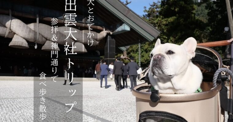 【出雲大社トリップ】わんことゆっくり参拝＆神門通りで食べ歩き散歩