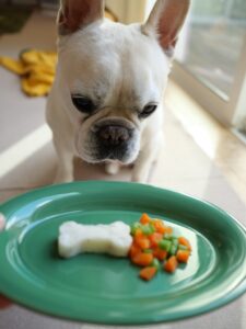 簡単レシピ　鱈とじゃがいものブランダード　作り方　犬用ご飯　人と一緒に　南フランス郷土料理　フレンチブルドッグ　源太